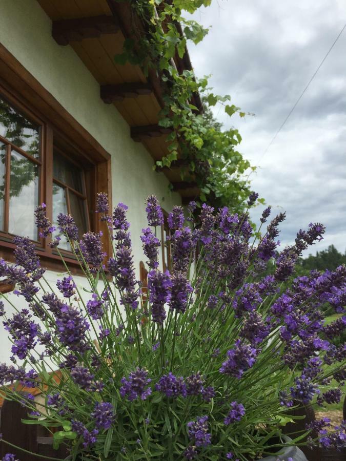 Dom Rodziny Sojkow Bed & Breakfast Bialka Tatrzanska Exterior foto